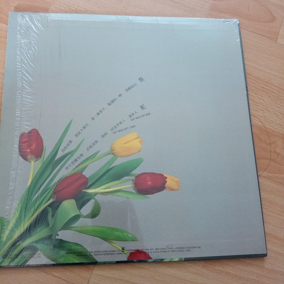 CBS Vinyl Chinese with FREE poster - Picture 4 of 16
